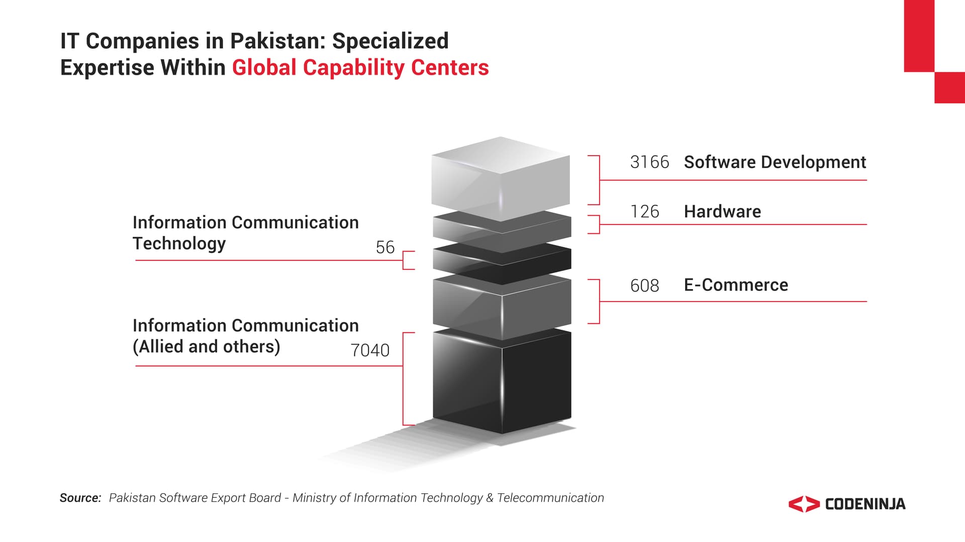 IT Talent Augmentation in Pakistan 